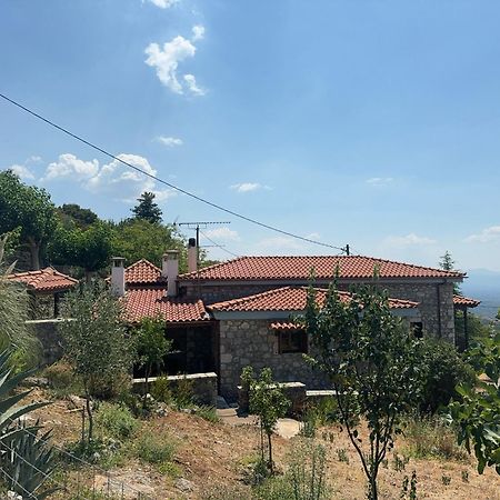 Terra Petra Villa At Psari Trikolonon Gortynia Pszári Kültér fotó